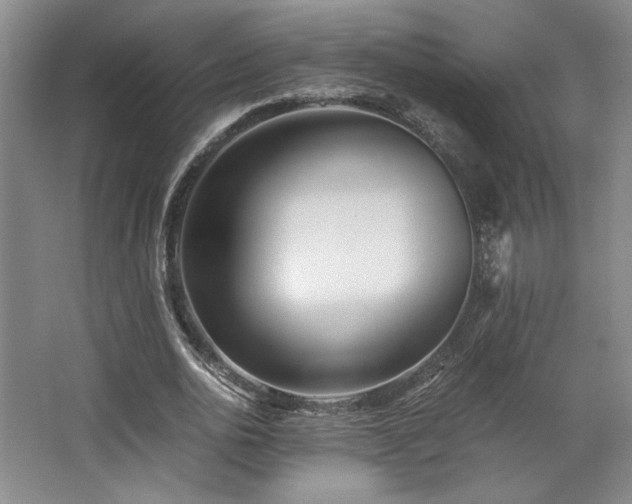 X0000063440726200601231325