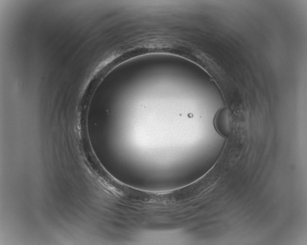 X0000063440727200601231325