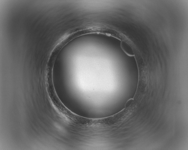 X0000063440730200601231325
