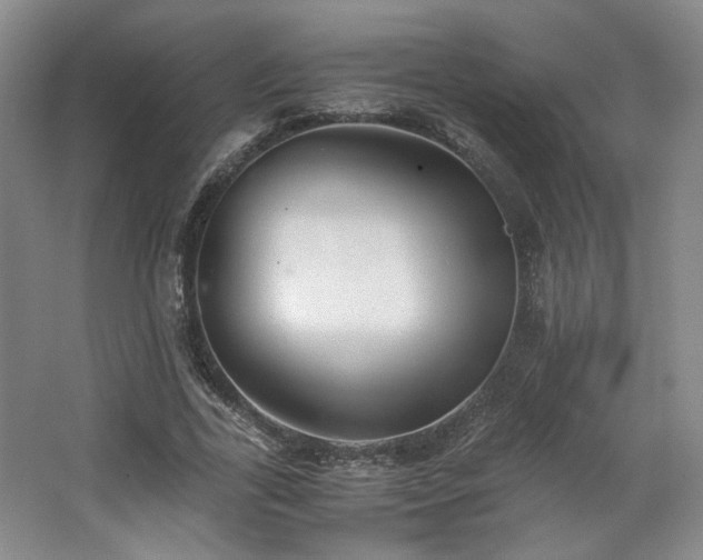 X0000063440731200601231325