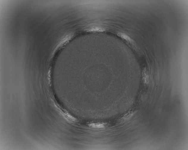 X0000063440735200601231325
