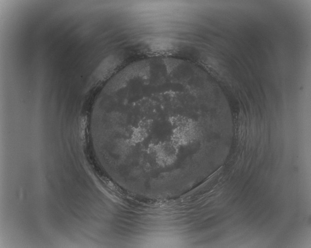 X0000063440742200601231325