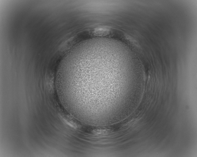 X0000063440745200601231325
