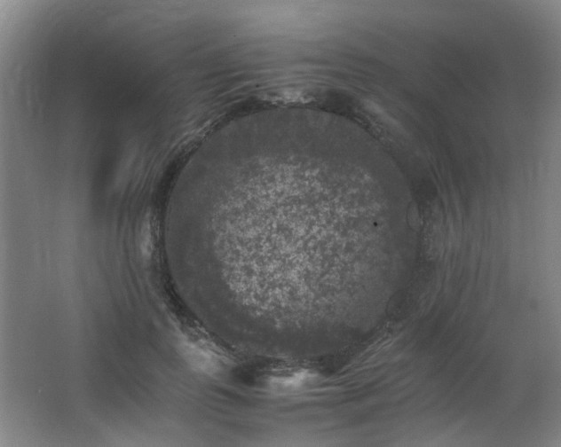 X0000063440747200601231325
