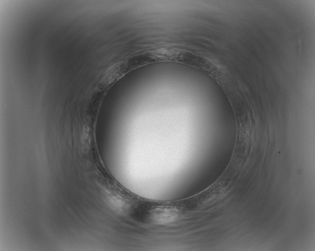 X0000063440749200601231325