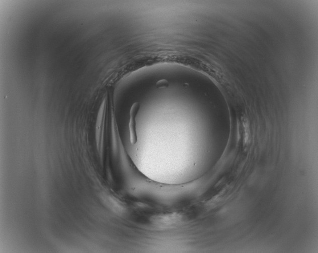 X0000063440750200601231325