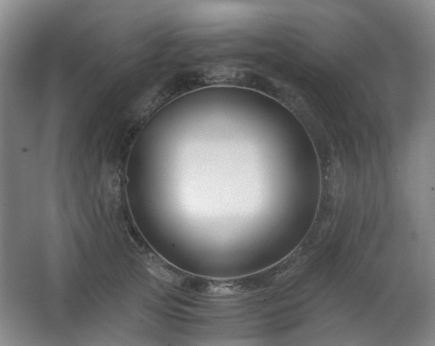 X0000063440753200601231325