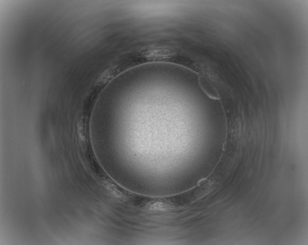 X0000063440755200601231325