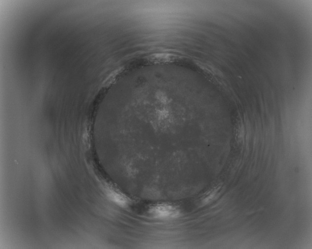 X0000063440759200601231325