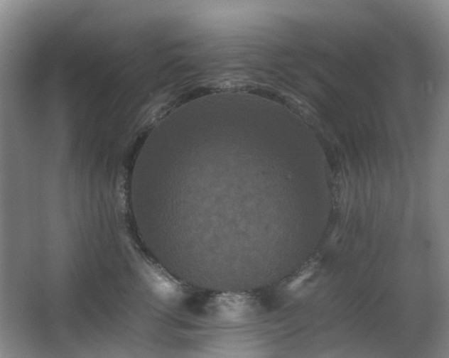 X0000063440762200601231325