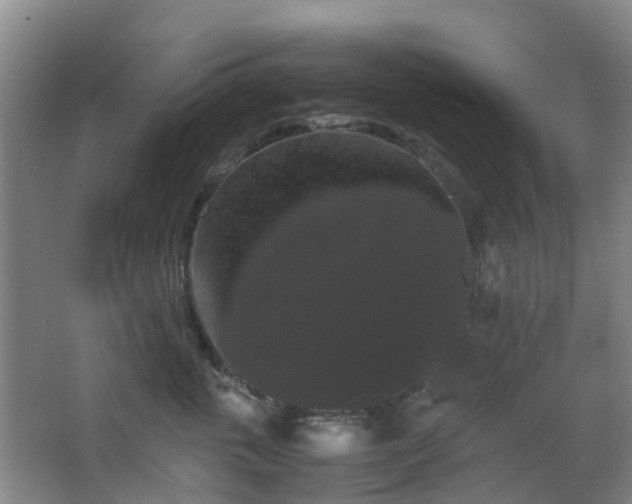 X0000063440763200601231325