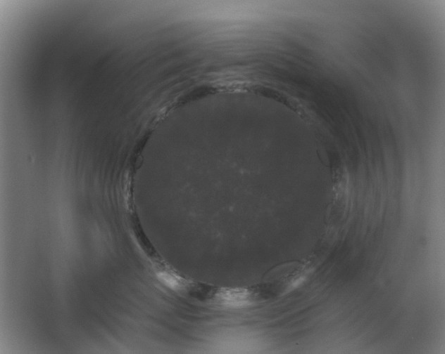 X0000063440767200601231326