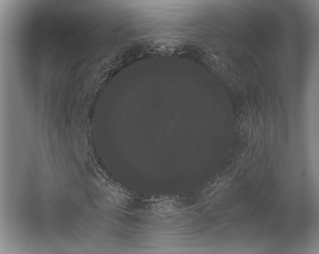 X0000063440769200601231325