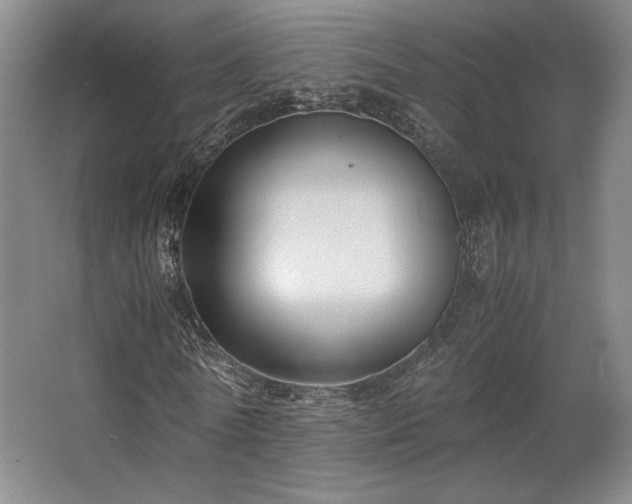 X0000063440770200601231325