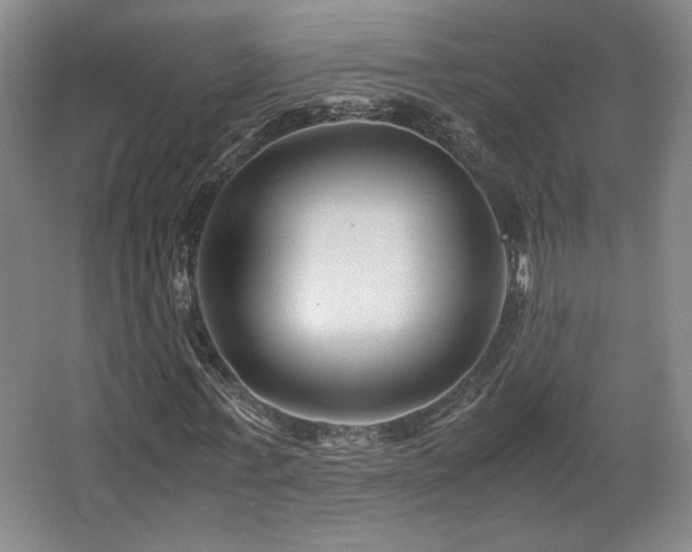 X0000063440771200601231325
