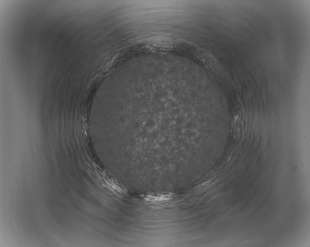 X0000063440772200601231325
