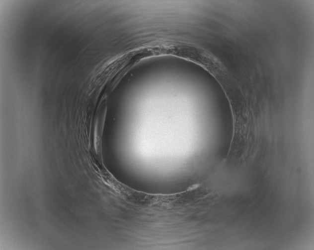 X0000063440773200601231325