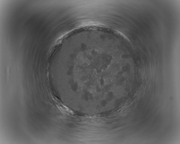 X0000063440775200601231325