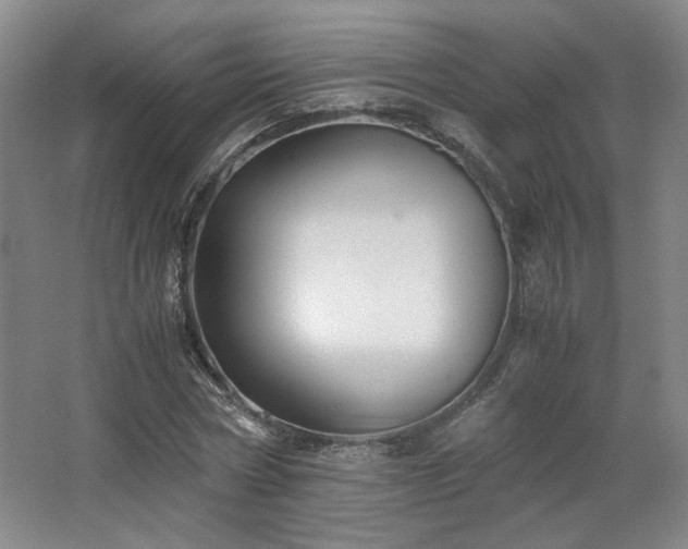 X0000063440778200601231325