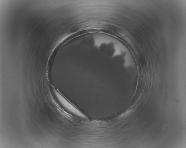 X0000063440779200601231325
