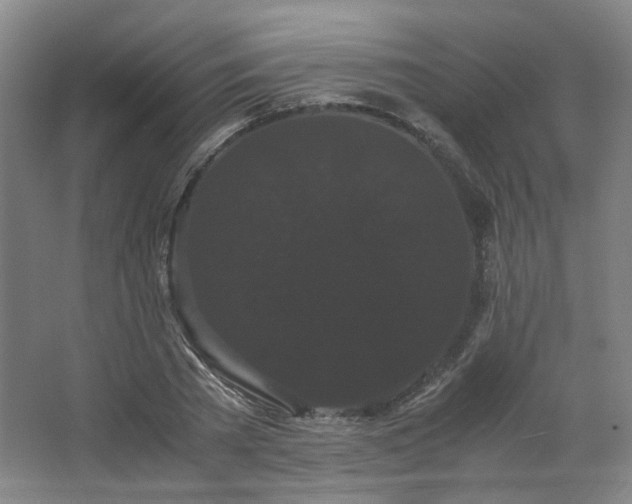 X0000063440785200601231324