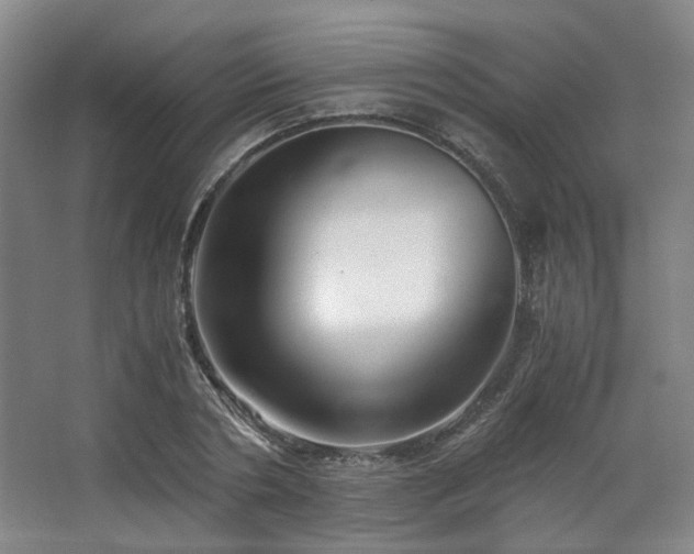 X0000063440786200601231324