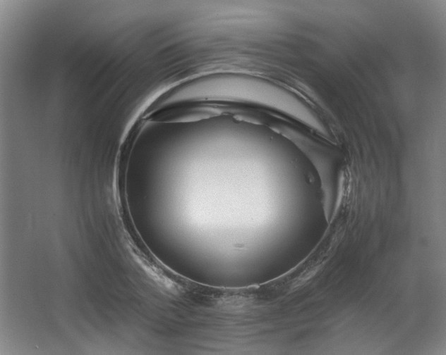 X0000063440788200601231324