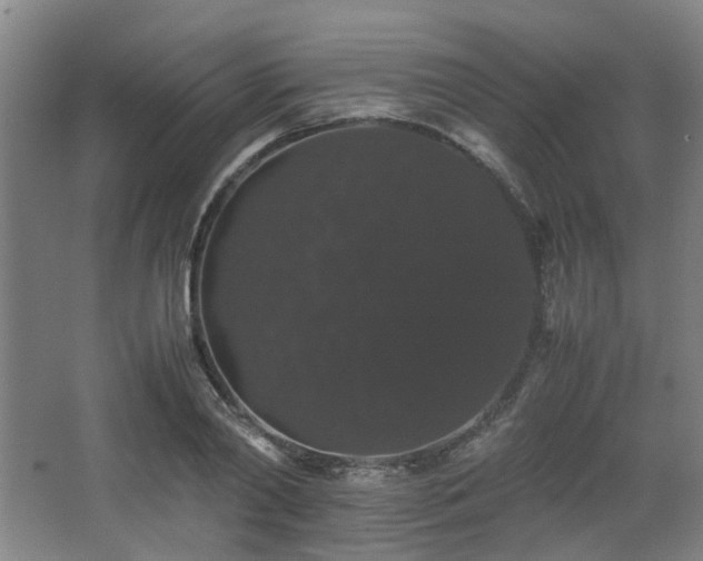 X0000063440790200601231324