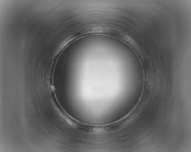 X0000063440794200601231324