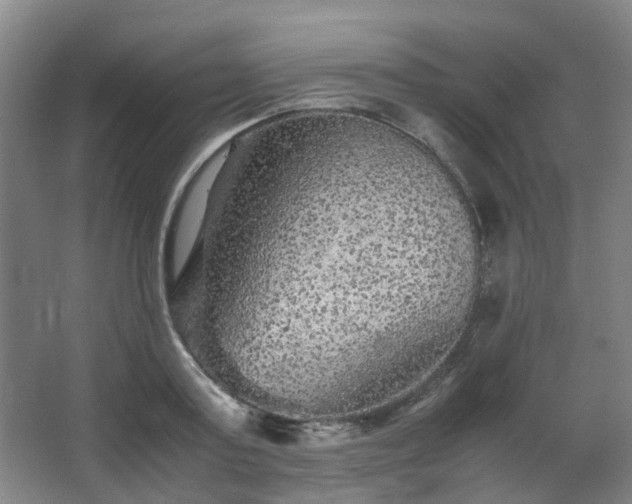 X0000063440795200601231324