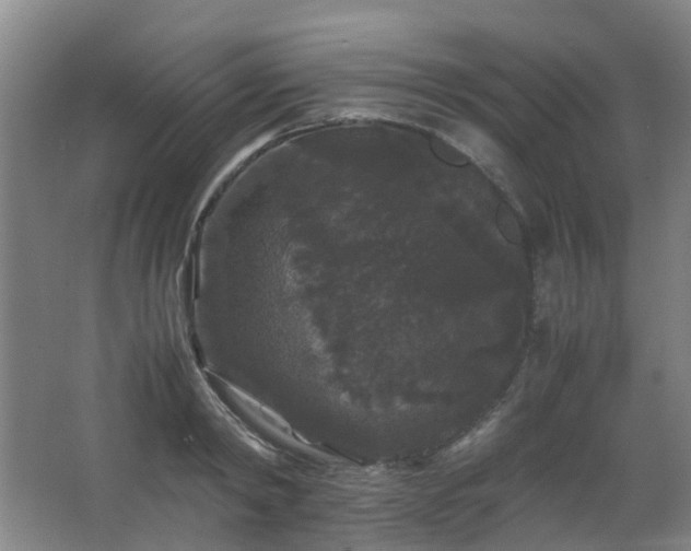X0000063440798200601231324