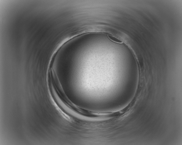 X0000063440803200601231324