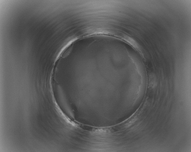 X0000063440806200601231324