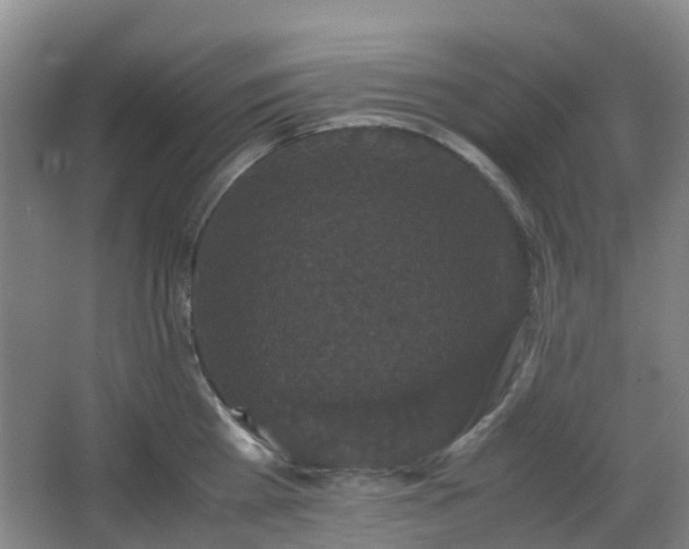 X0000063440809200601231324