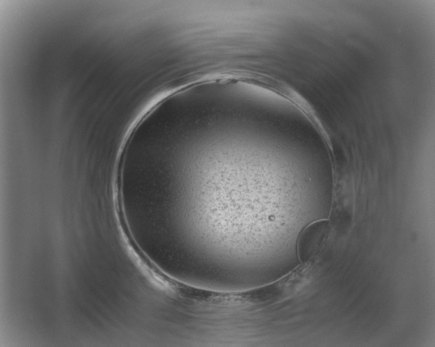 X0000063440811200601231324