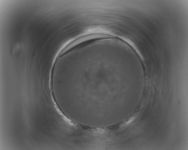 X0000063440815200601231324