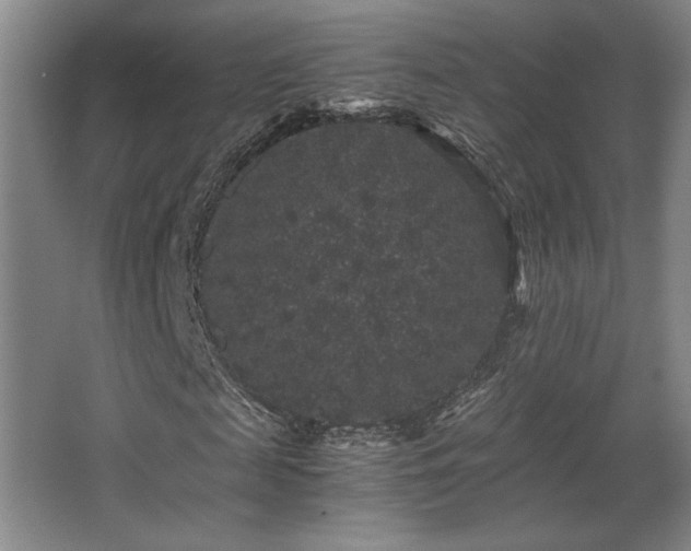 X0000063440817200601231323