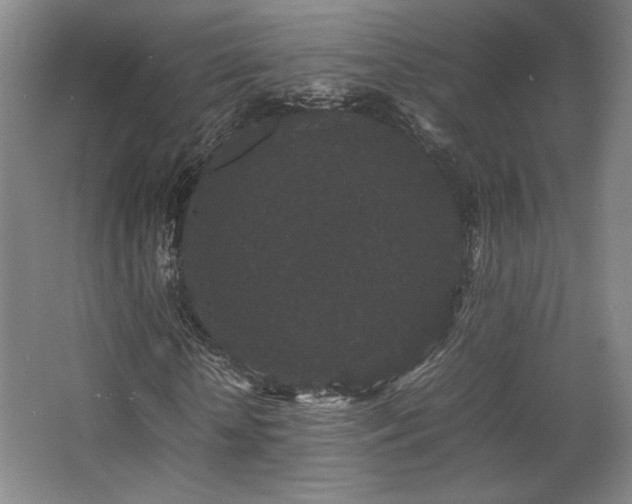 X0000063440818200601231323