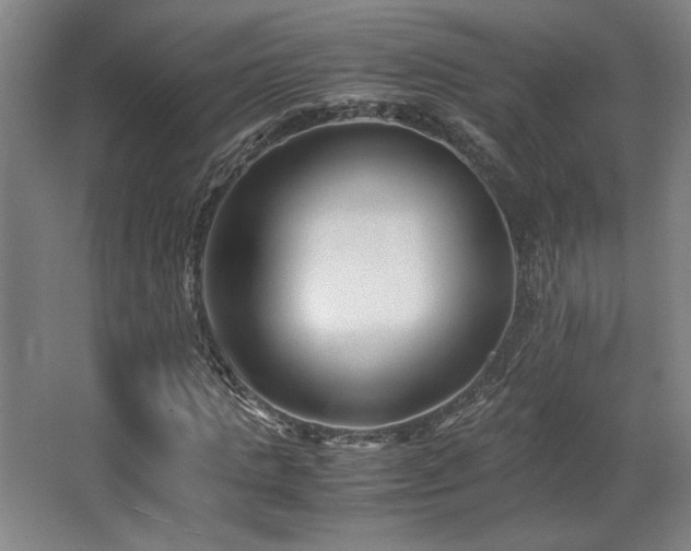 X0000063440821200601231323