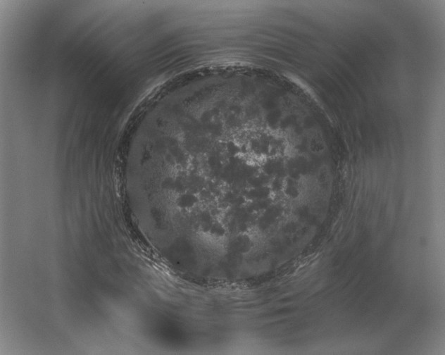 X0000063440823200601231323
