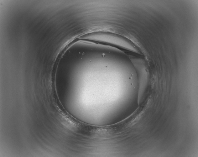 X0000063440834200601231323