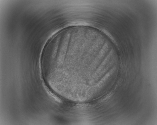 X0000063440840200601231323