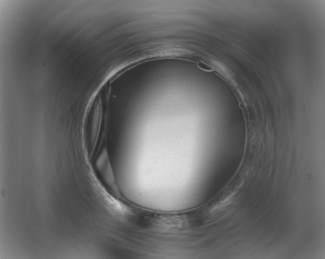X0000063440843200601231324