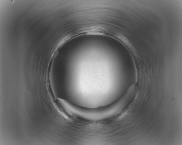 X0000063440850200601231324