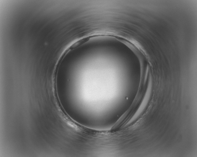 X0000063440854200601231324