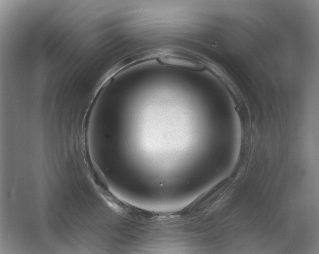 X0000063440858200601231324