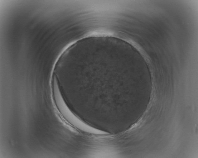 X0000063440864200601231324