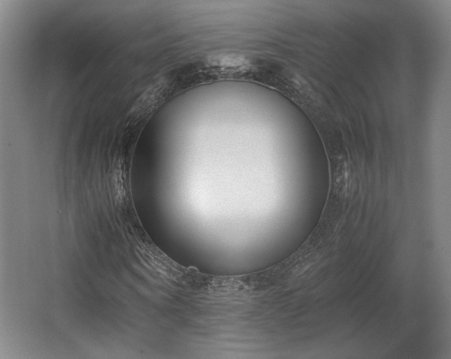 X0000063440866200601231323