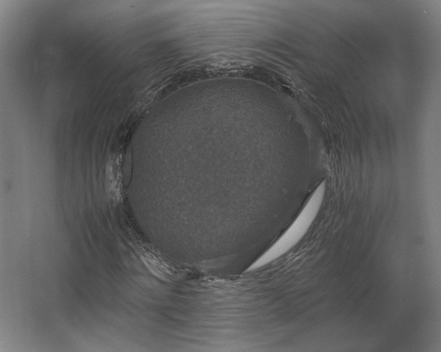 X0000063440868200601231323