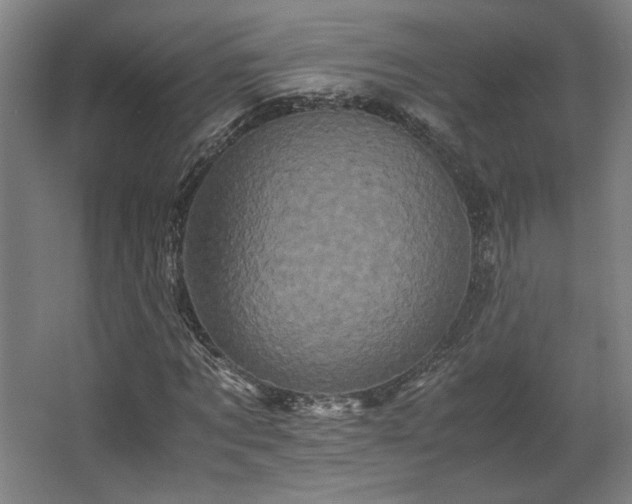 X0000063440869200601231323